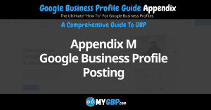 Google Business Profile Guide Appendix M Google Business Profile Posting