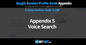 Google Business Profile Guide Appendix S Voice Search